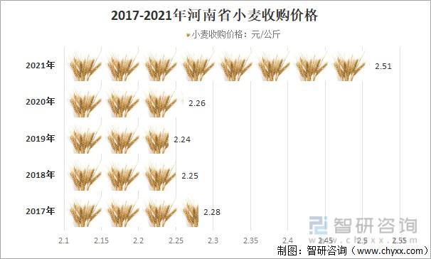 山东小麦最新价格行情分析