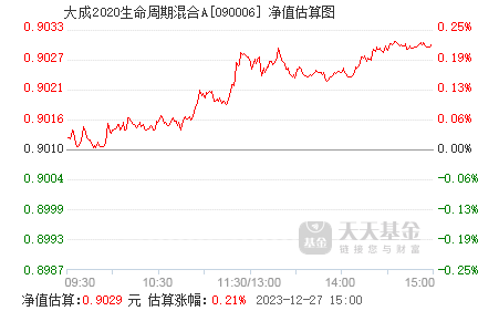 大成基金2020最新净值，深度解析与未来展望