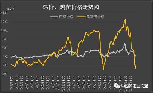 今日淘汰蛋鸡最新价格及市场分析