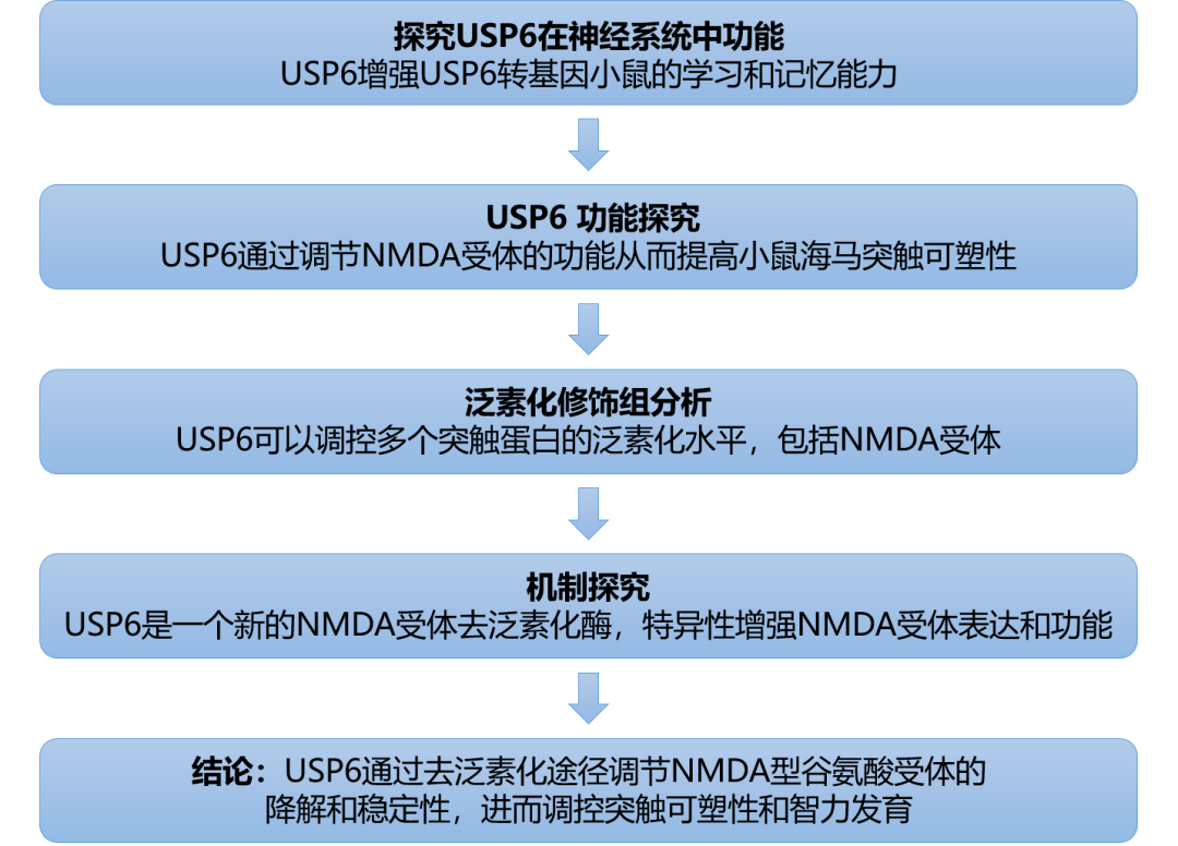 2024新澳资料大全最新版本亮点,新兴技术推进策略_影像版79.130