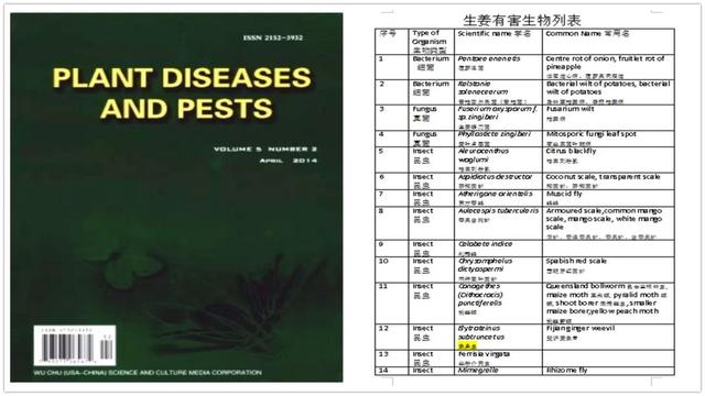 江左梅郎澳门正版资料,适用性计划实施_Deluxe83.340