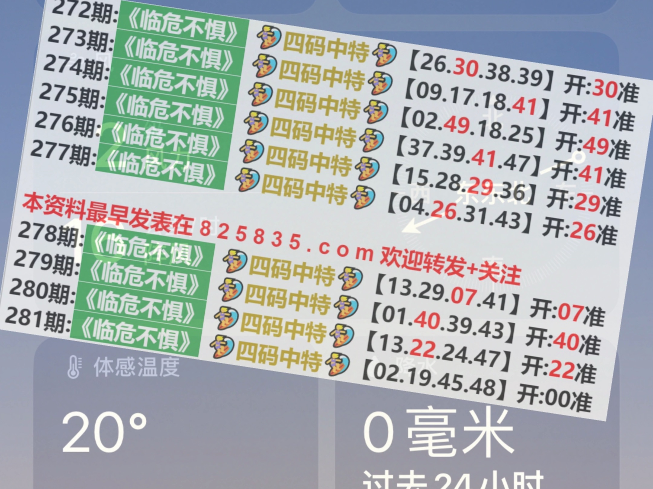 2024澳门天天开好彩大全2024,调整计划执行细节_WP69.690