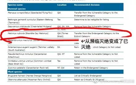 新澳今天最新兔费资料,专业解析评估_WP版97.884 - 副本