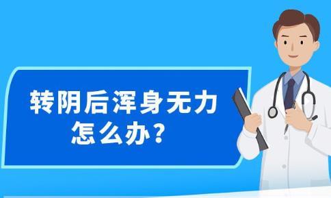 新澳精准资料免费大全,最新解答解析说明_iShop45.32 - 副本