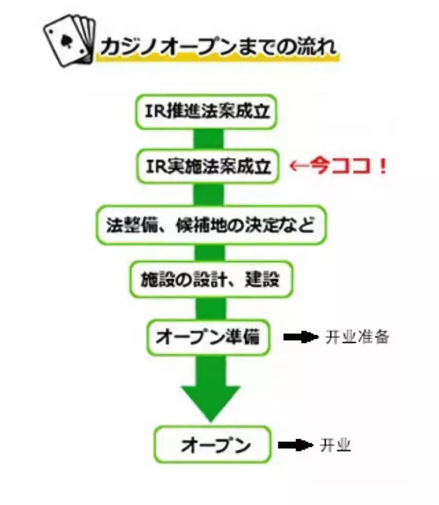 澳门最精准免费资料大全旅游团,决策资料解释落实_2D61.966