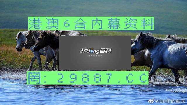 2024澳门买马最准网站,理念解答解释落实_V22.184