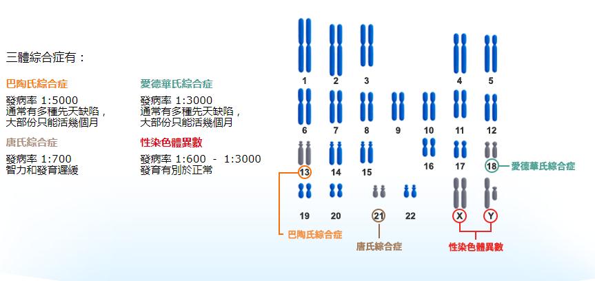 黄大仙三肖三码必中三,前沿研究解析_进阶版98.255