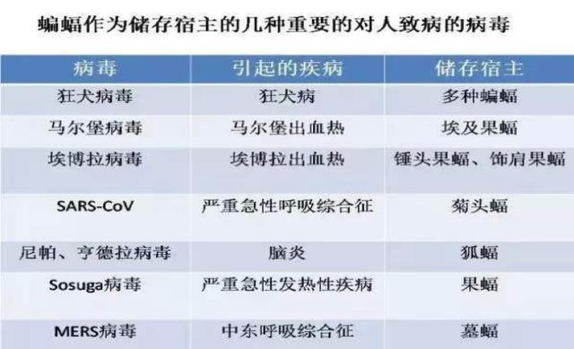 2024年正版资料免费大全公开,权威诠释推进方式_5DM71.77