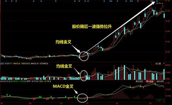 今晚澳门特马开的什么,可靠计划策略执行_黄金版77.303