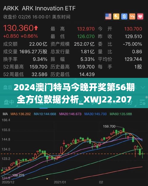 2024澳门特马今晚开网站,全面理解执行计划_iPad31.169