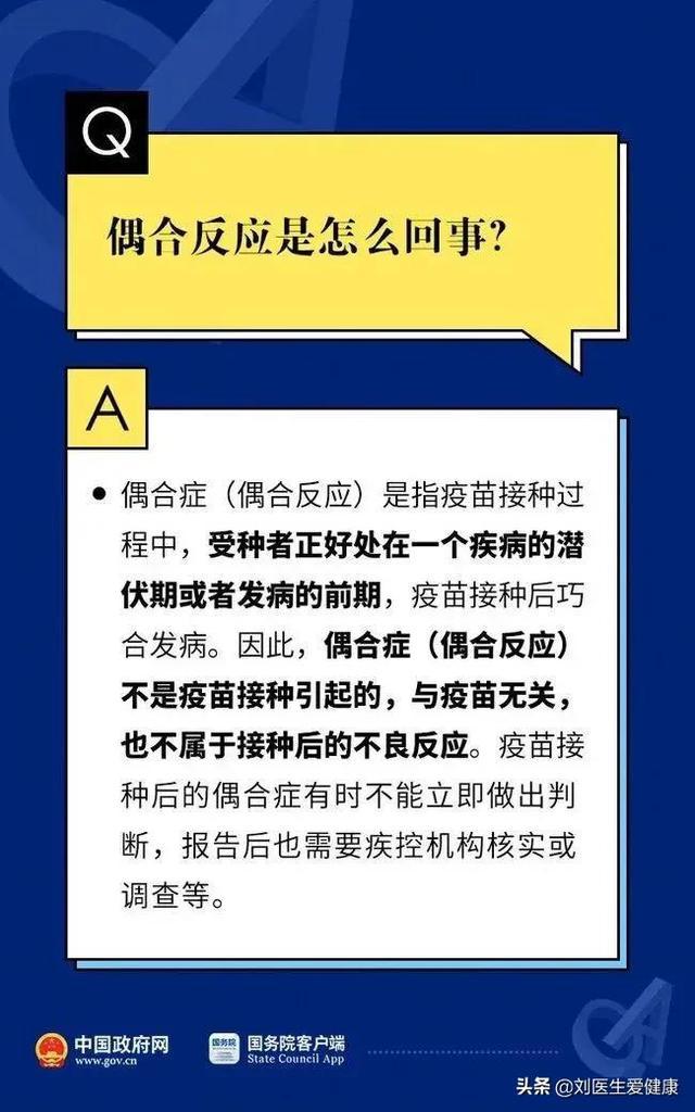 2024新澳门天天开好彩大全正版,最新方案解答_网页版65.632