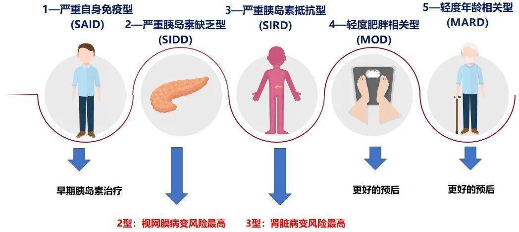 糖尿病最新分型研究，探索分型与临床意义