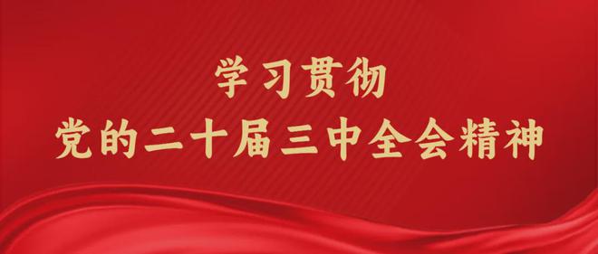 2024年天天彩资料免费大全｜内容释义解释落实