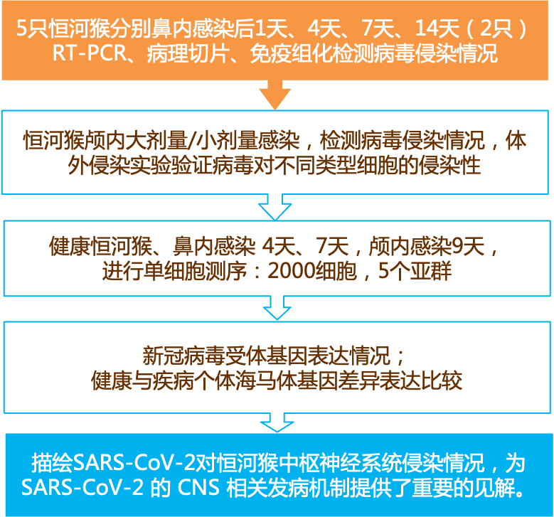 2024新奥历史开奖｜决策资料解释落实